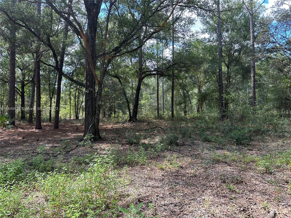 最近售出: $62,000 (0 贝兹, 0 浴室, 0 平方英尺)