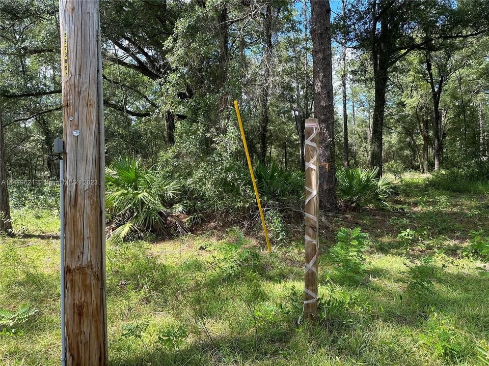 Marker on the right corner of the lot