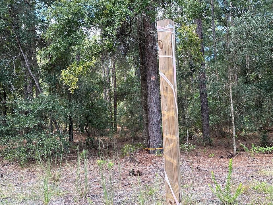 Marker on the left corner of the lot