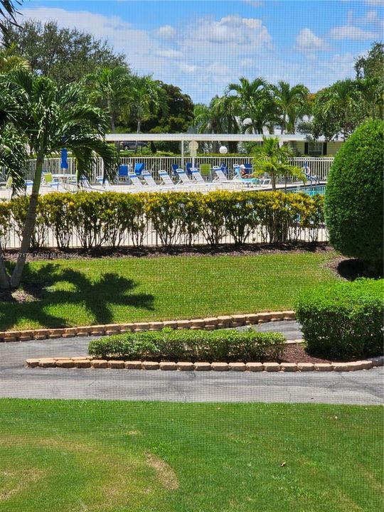 View of pool area and gold course from screened lanai
