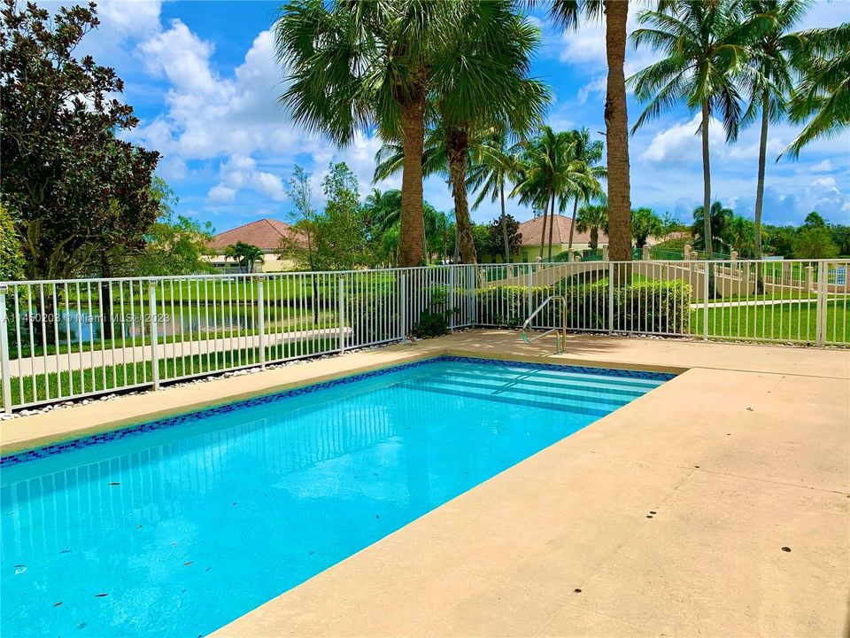 Pool, Patio & back yard