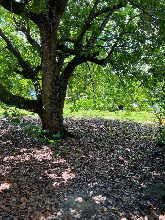 Недавно продано: $2,825,000 (5 спален, 3 ванн, 3288 Квадратных фут)