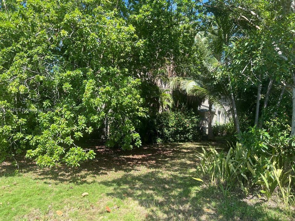 Недавно продано: $2,825,000 (5 спален, 3 ванн, 3288 Квадратных фут)