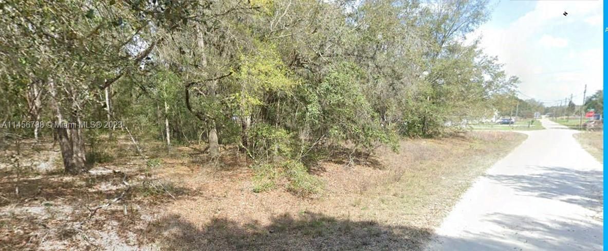 For Sale: $25,000 (0.22 acres)