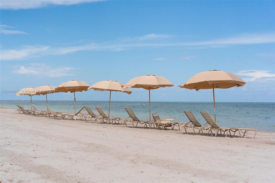 Beachside Lounge Chairs and Umbrellas