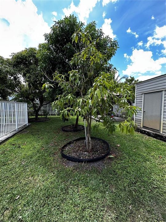 Недавно продано: $692,000 (4 спален, 3 ванн, 1662 Квадратных фут)