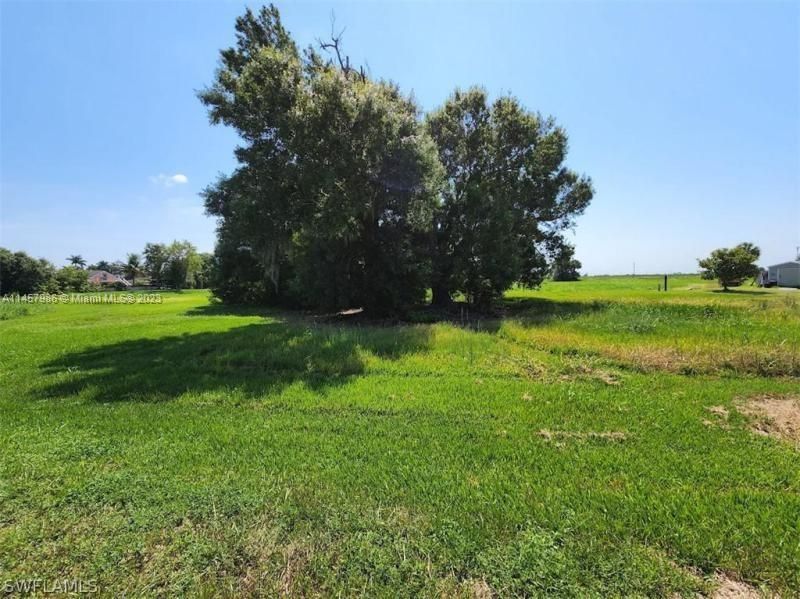 For Sale: $39,000 (0.16 acres)