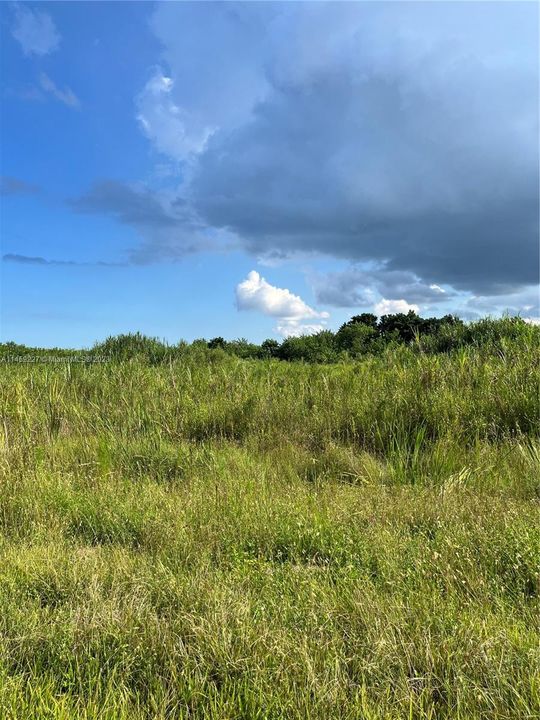 Recently Sold: $695,000 (0 beds, 0 baths, 0 Square Feet)