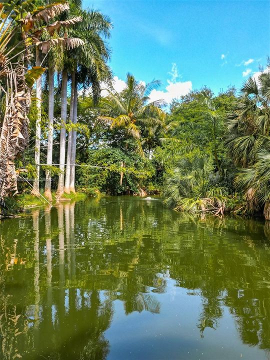 Property features a natural spring fed pond for multiple waterfront lots for homes or townhomes.  Total of 2.94 acres with ample high/dry land for development w/ central water feature.