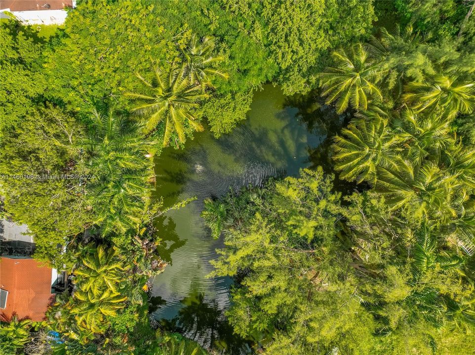 Aerial view of the natural spring fed pond/waterfeature.