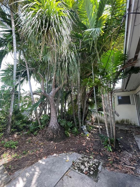 Recently Sold: $590,000 (4 beds, 2 baths, 2708 Square Feet)