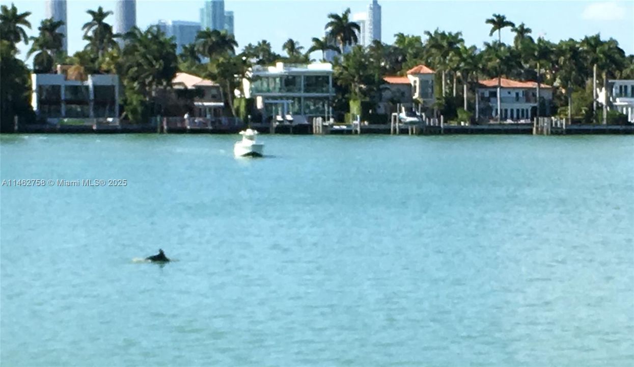 На продажу: $1,125,000 (2 спален, 2 ванн, 1210 Квадратных фут)