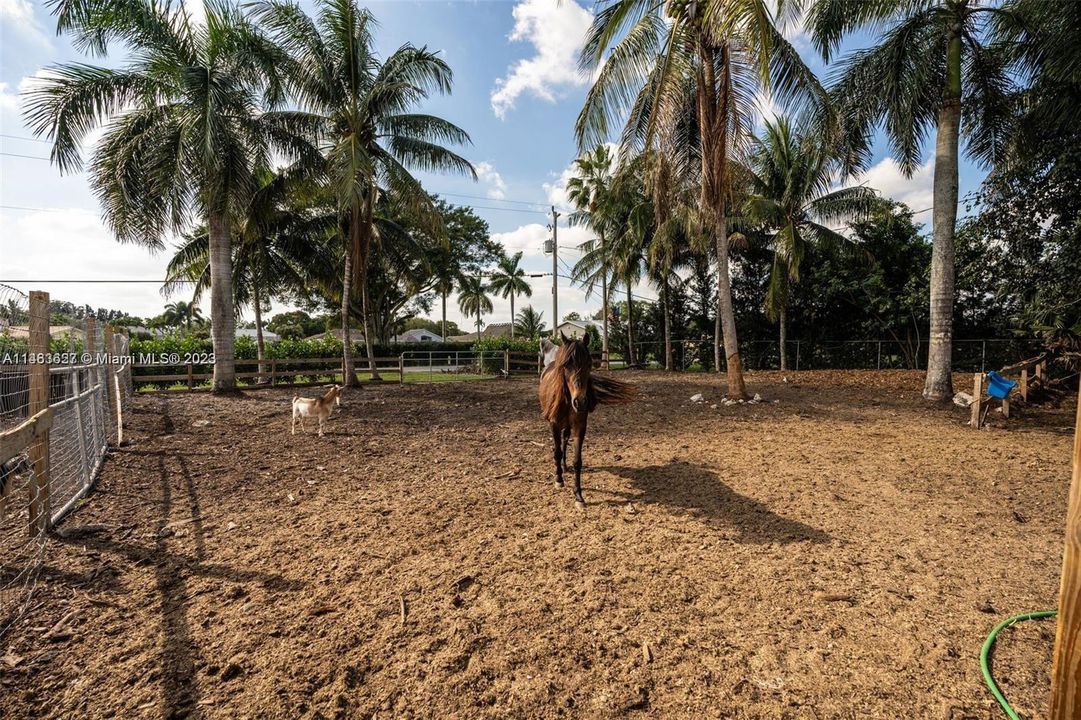 Recently Sold: $999,900 (3 beds, 2 baths, 1560 Square Feet)