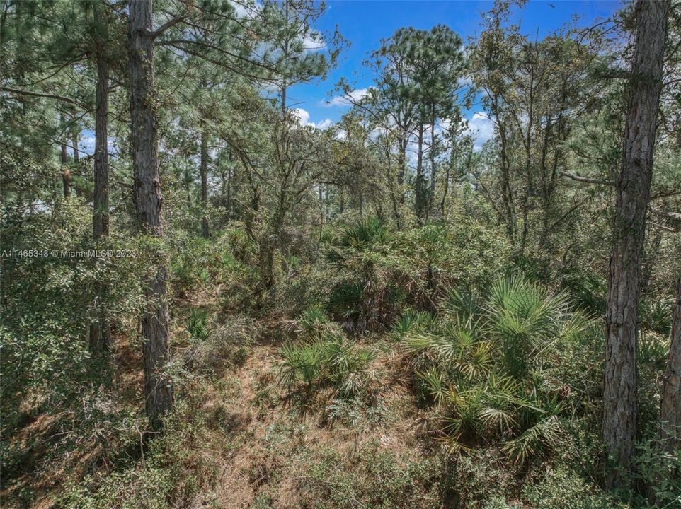 Recently Sold: $13,900 (0.26 acres)