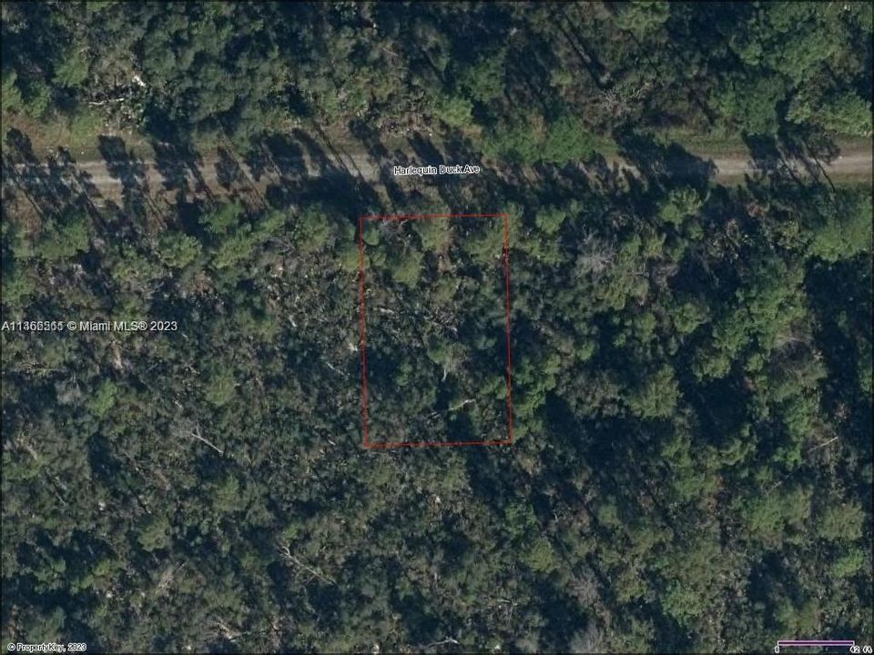 Недавно продано: $8,000 (0.23 acres)