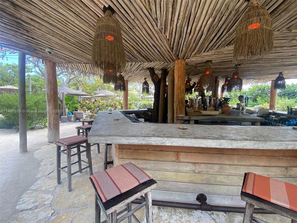 Back yard Tiki Bar