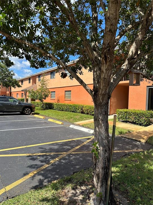 Recently Rented: $1,950 (2 beds, 1 baths, 800 Square Feet)