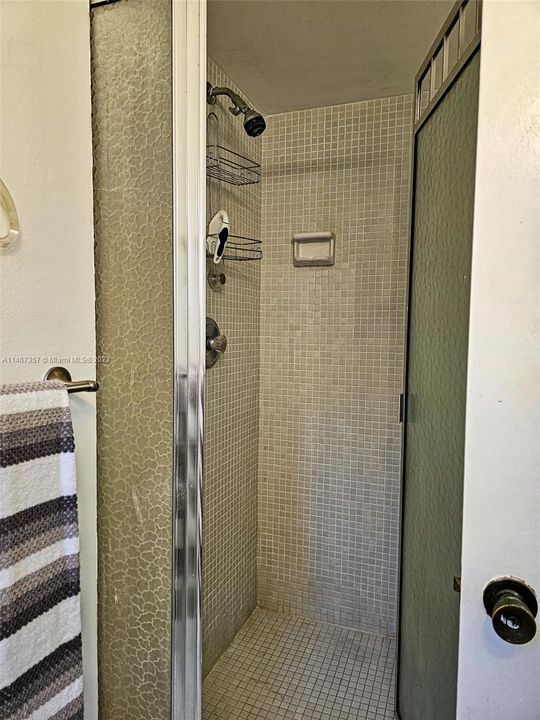 Master Bathroom Shower