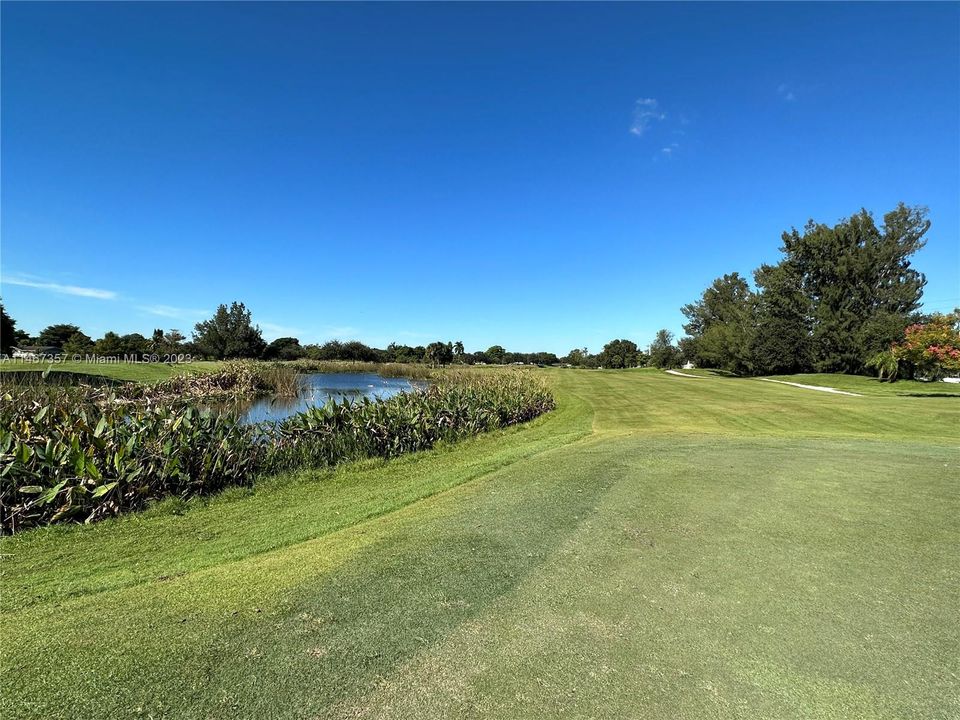 Views of 18th Fairway