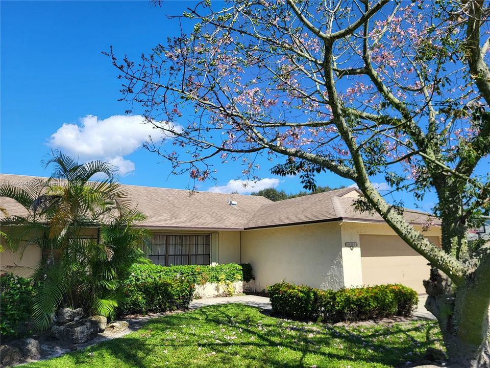 Front of Home w. Blooming Tree