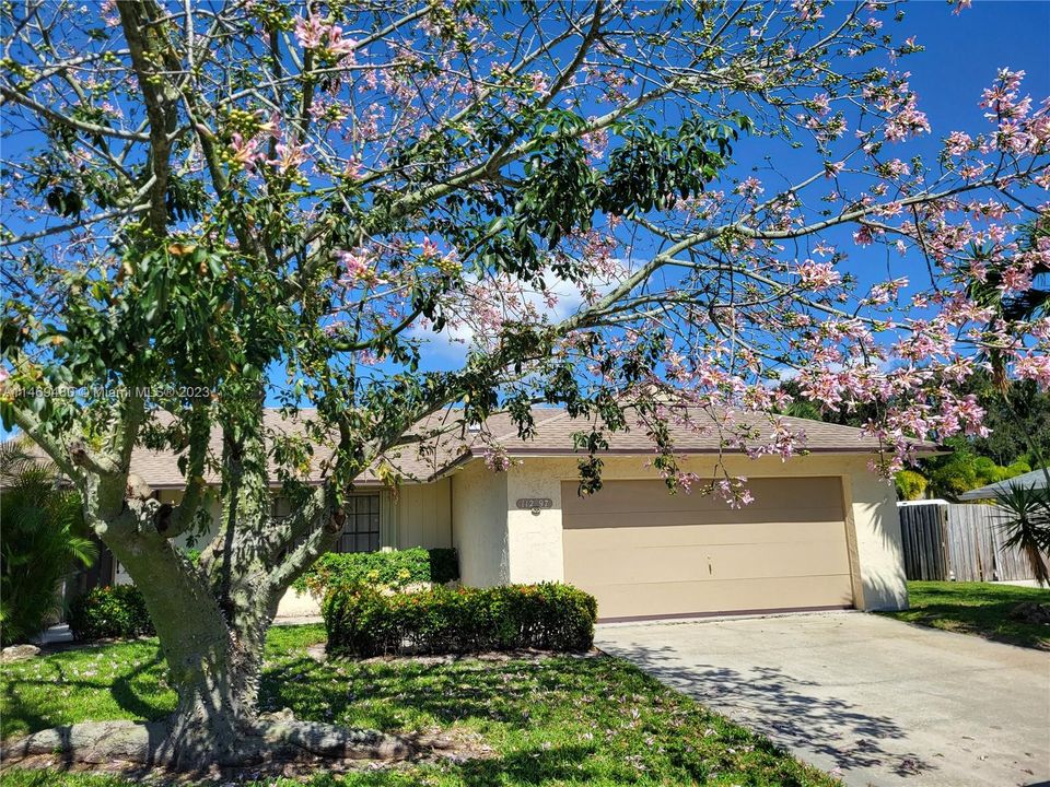 Front of home - tree flowers blooming