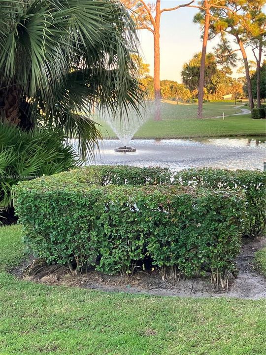 Fountain pond in your back yard view