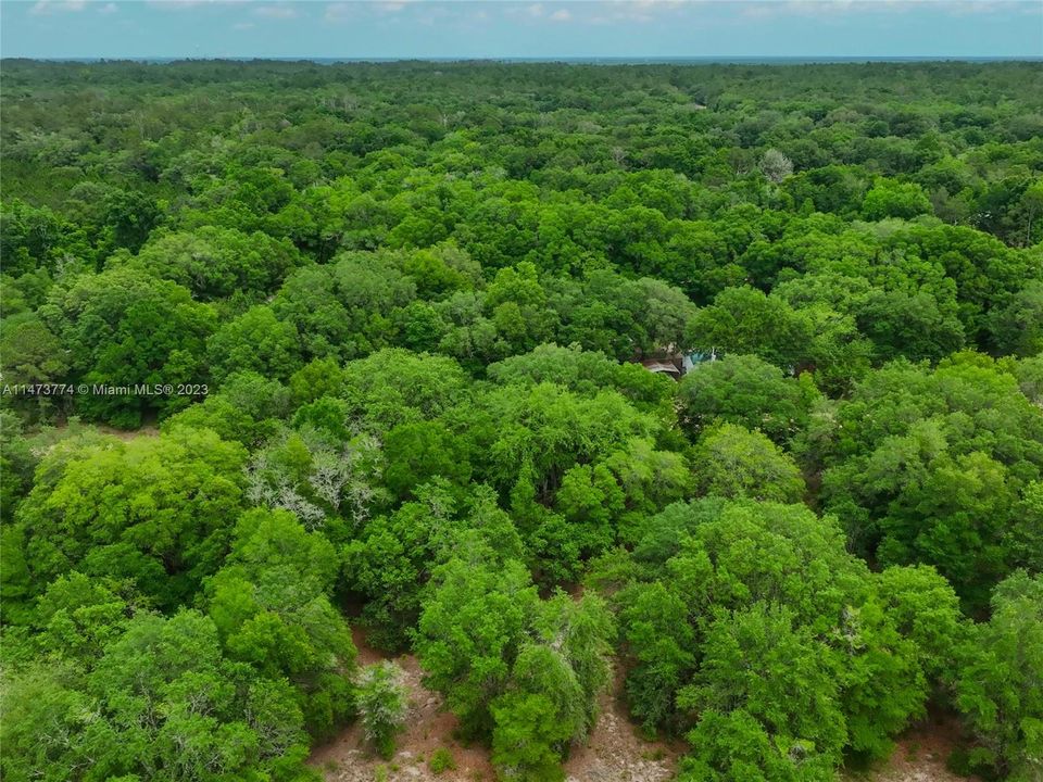 Vendido Recientemente: $5,000 (0.22 acres)