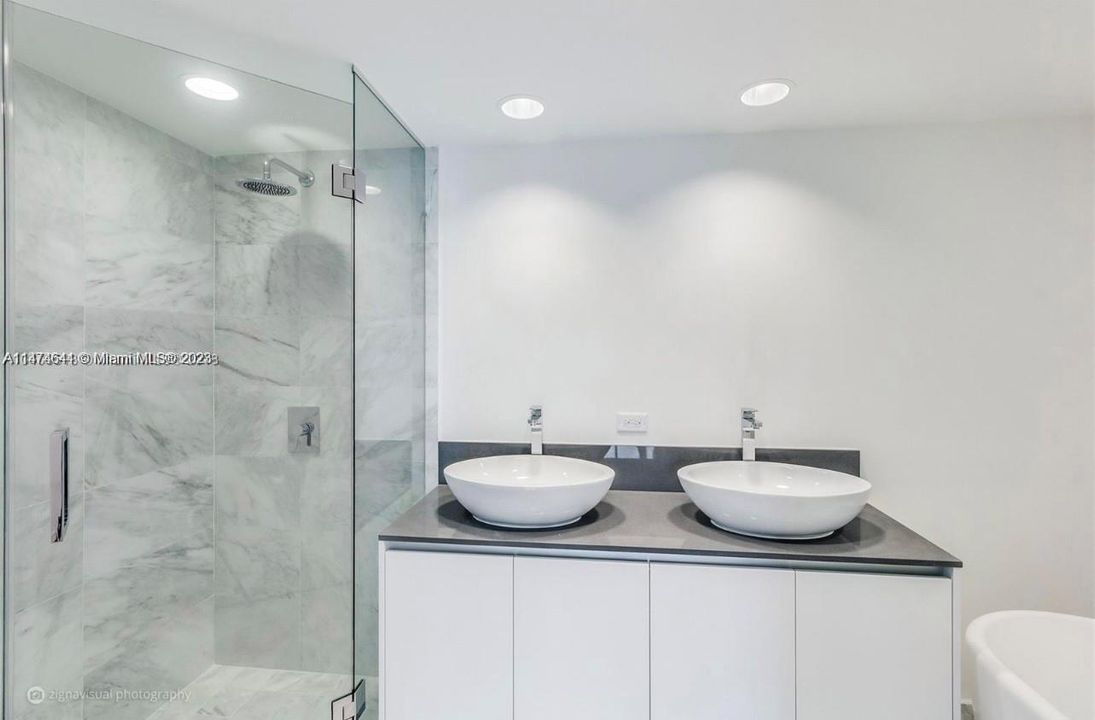 Shower and Dual Sink