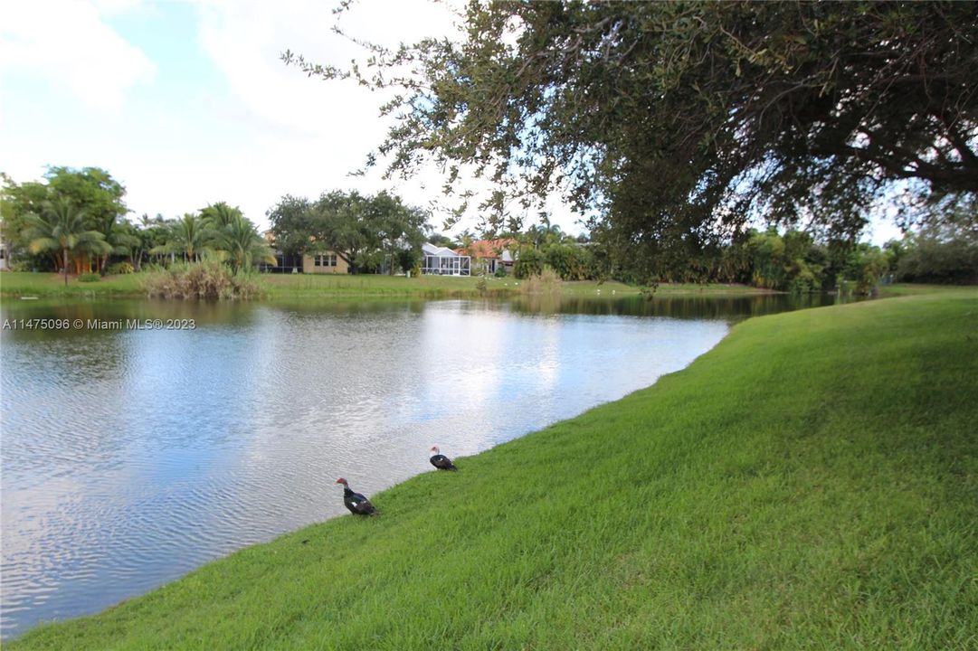 Recently Rented: $1,775 (1 beds, 1 baths, 834 Square Feet)