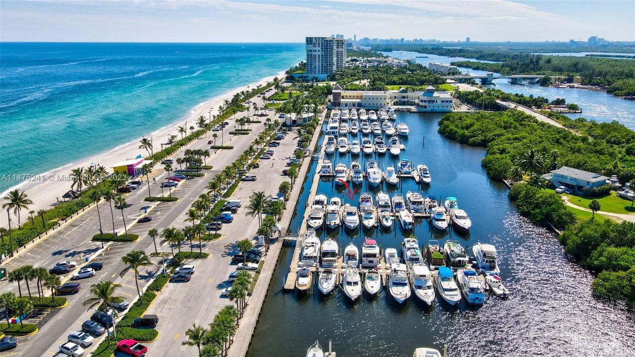 Dania Beach Marina with Available Boat Slip