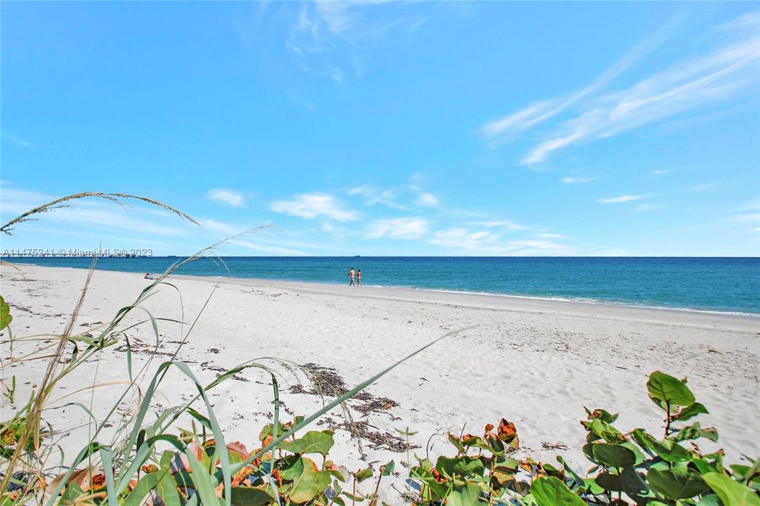 Beach View