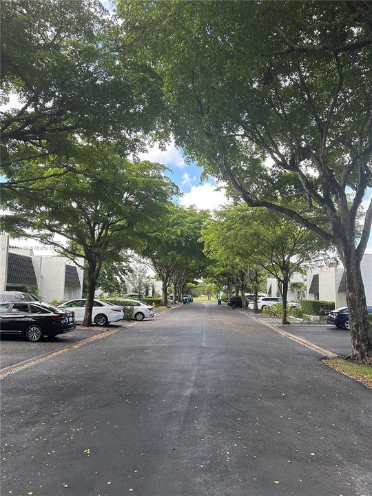 Recently Rented: $3,500 (2 beds, 2 baths, 1780 Square Feet)