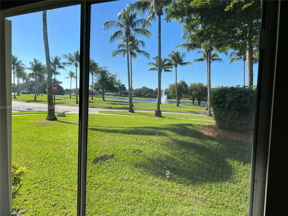 View from Living-room