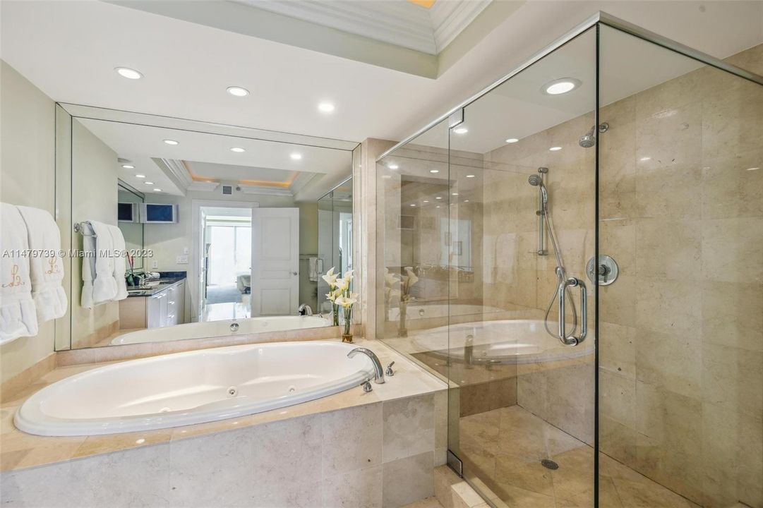 Master Bathroom w/Jacuzzi tub and walk in shower. Indirect soffet lighting.