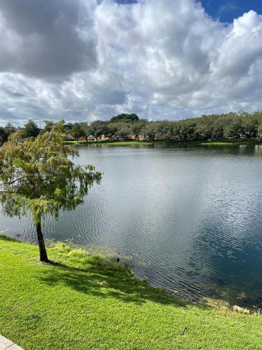 Recently Rented: $1,770 (1 beds, 1 baths, 659 Square Feet)