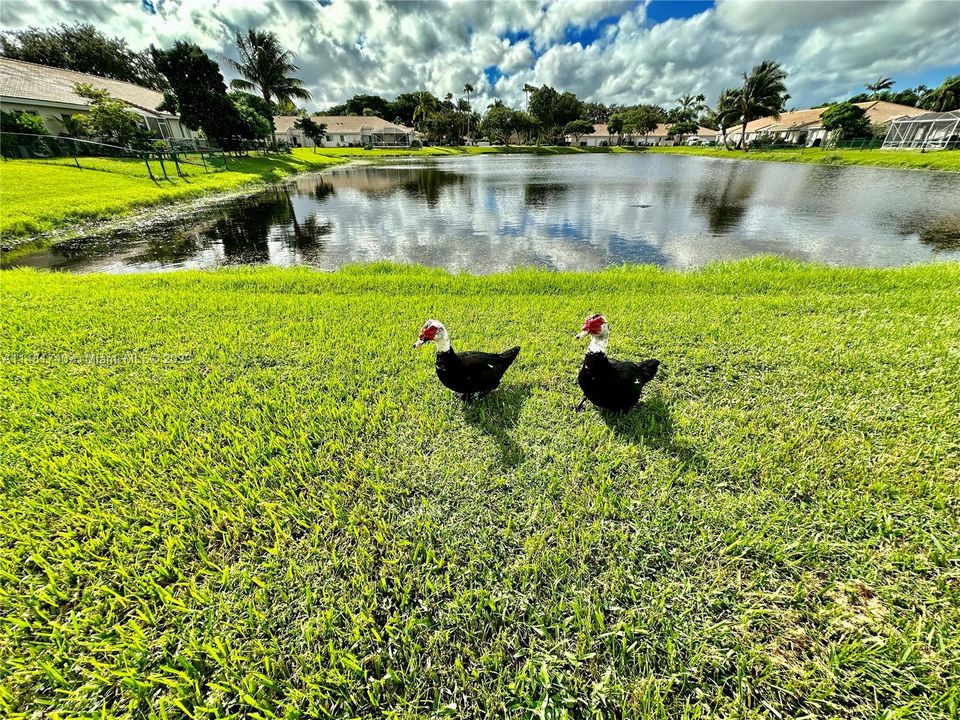 Recientemente alquilado: $2,500 (3 camas, 2 baños, 1030 Pies cuadrados)