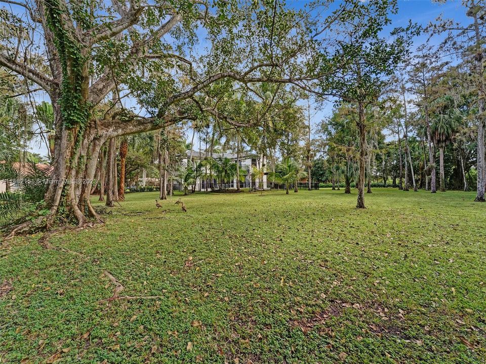 Recently Sold: $1,797,000 (5 beds, 3 baths, 4287 Square Feet)