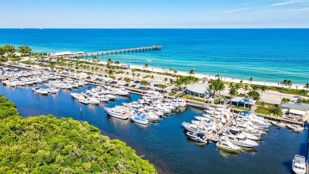 Dania Beach Marina