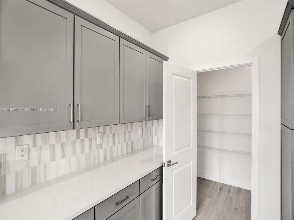 Walk-in Pantry in kitchen