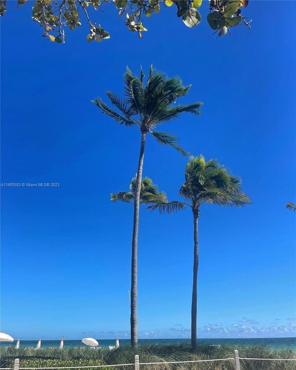 Right across from the ocean