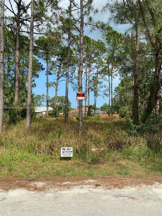 Recently Sold: $40,000 (0.23 acres)