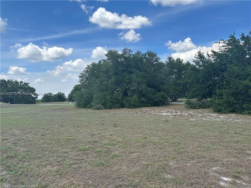 For Sale: $29,000 (0.30 acres)