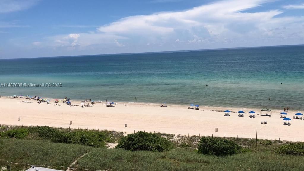 Recently Rented: $3,350 (1 beds, 2 baths, 906 Square Feet)