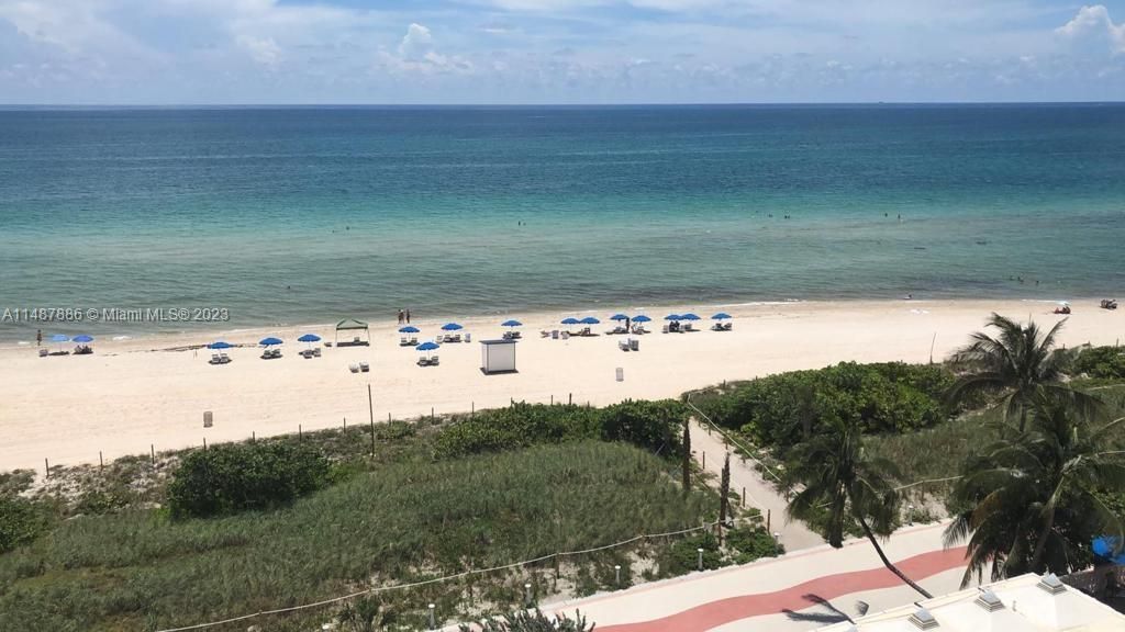 Recently Rented: $3,350 (1 beds, 2 baths, 906 Square Feet)