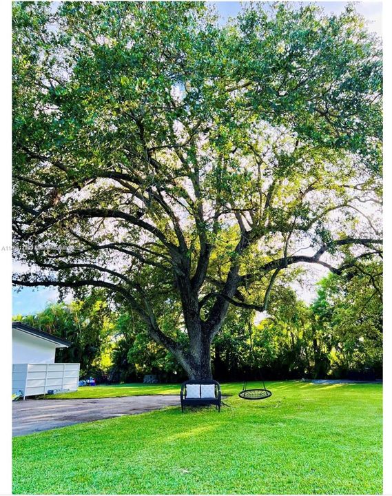 Недавно продано: $2,500,000 (4 спален, 3 ванн, 1647 Квадратных фут)