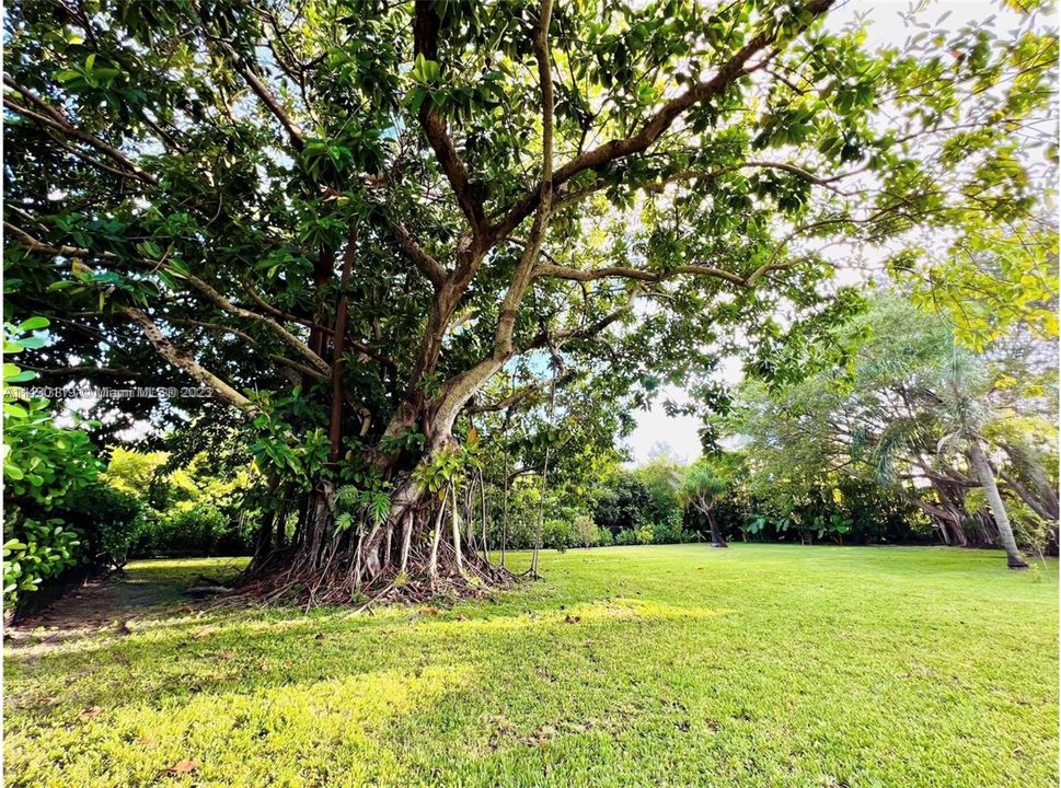 Недавно продано: $2,500,000 (4 спален, 3 ванн, 1647 Квадратных фут)