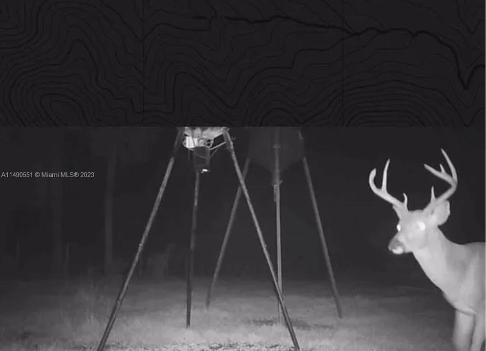 Vendido Recientemente: $1,600,000 (0 camas, 0 baños, 0 Pies cuadrados)