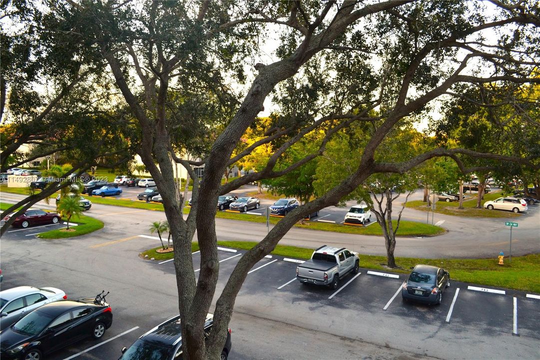 最近租的: $1,600 (1 贝兹, 1 浴室, 685 平方英尺)