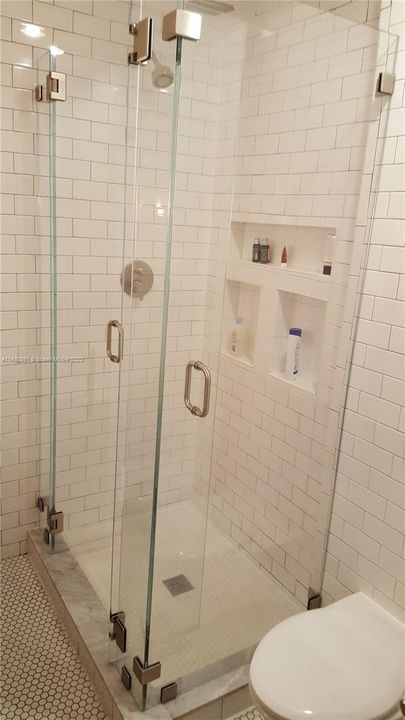 Master ensuite shower and Toto tankless hanging toilet