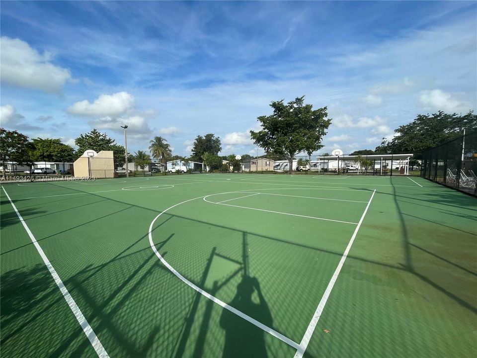 Basketball Court